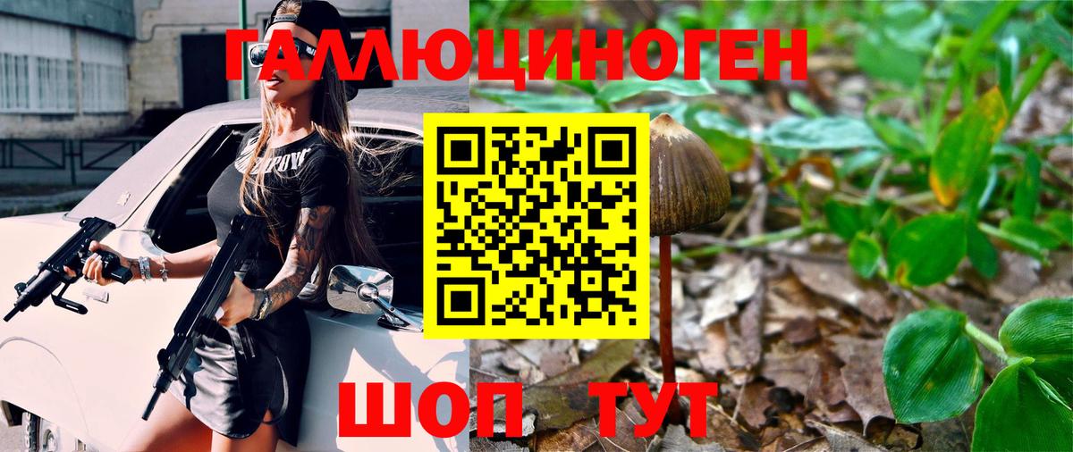 Галлюциногенные грибы Psilocybine cubensis Лыткарино