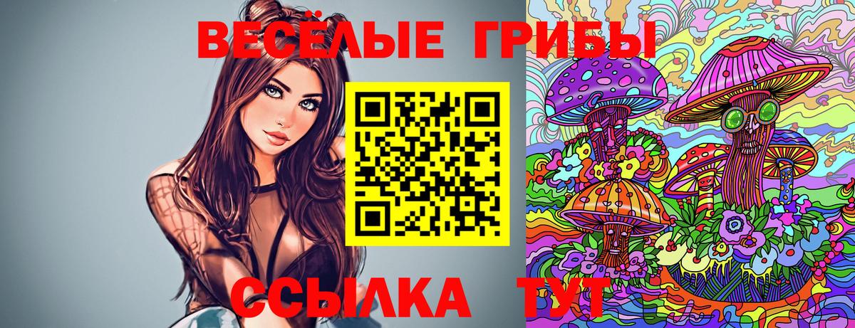 Галлюциногенные грибы MAGIC MUSHROOMS  Псилоцибиновые грибы Psilocybine cubensis  Лыткарино  Вход с VPN 
